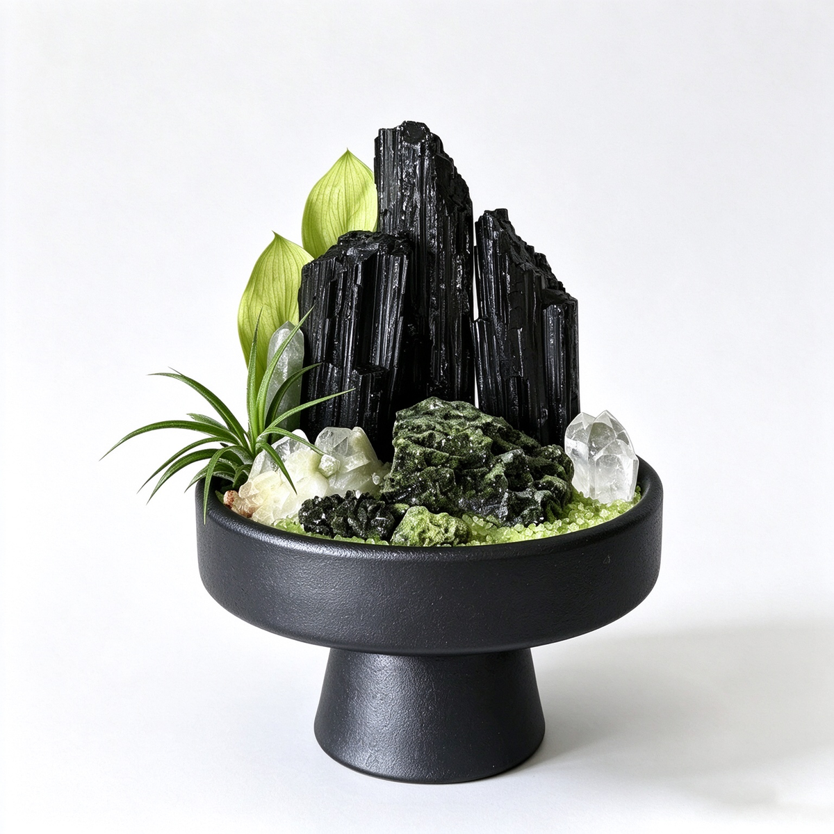 one-of-one crystal garden with black tourmaline, deep green epidote, clear quartz, air plant; front view on pure white background.
