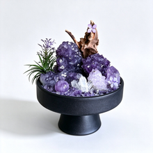 VIOLET SOVEREIGN AMETHYST GARDEN