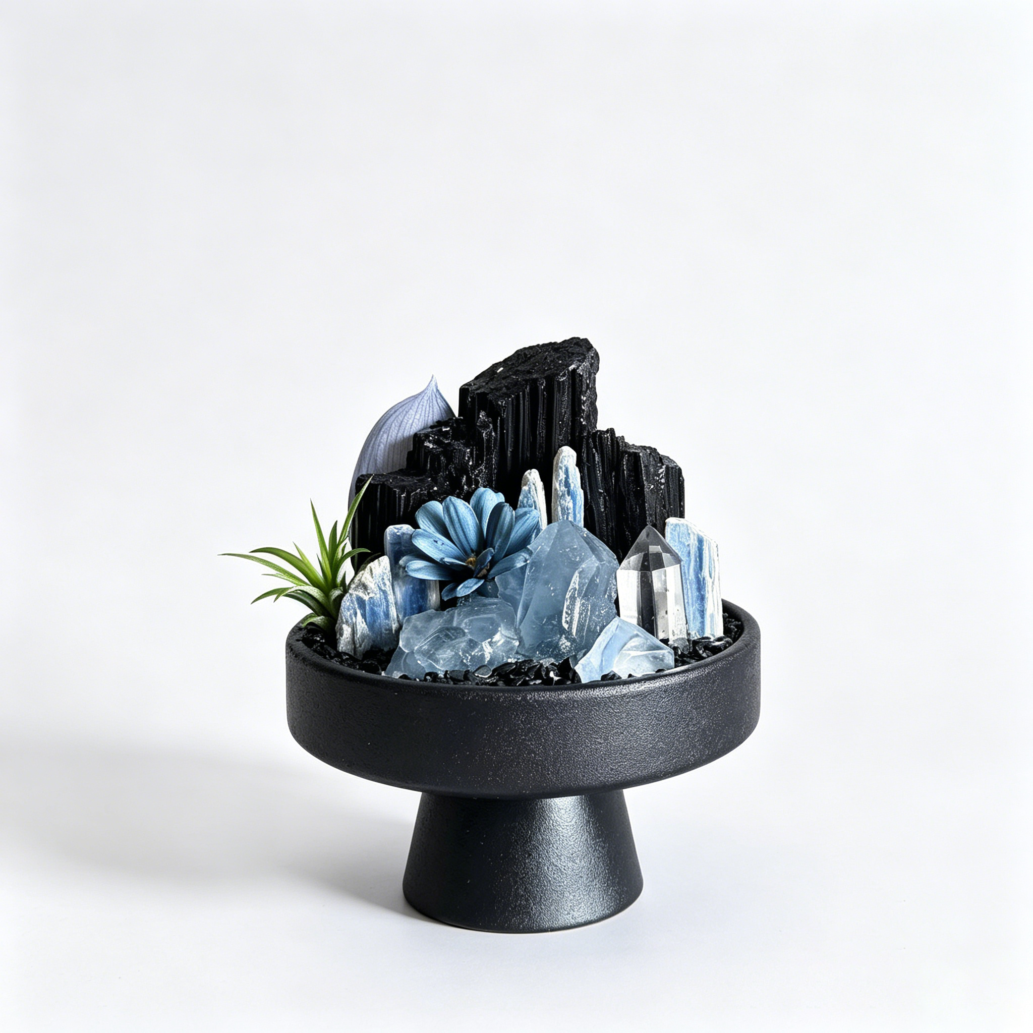 Black Tourmaline & Blue Kyanite Crystal Oasis