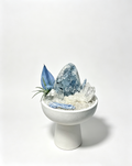 one-of-one crystal garden with celestite geode, clear quartz, blue kyanite, air plant; front view on pure white background.
