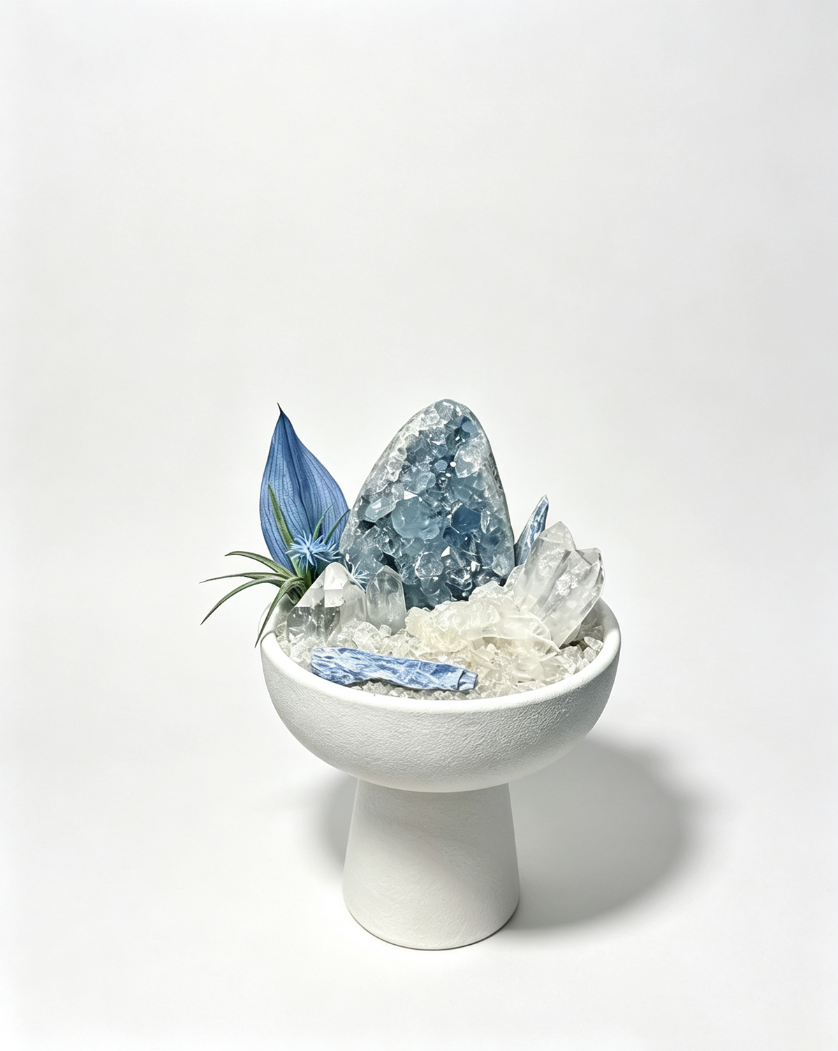 one-of-one crystal garden with celestite geode, clear quartz, blue kyanite, air plant; front view on pure white background.
