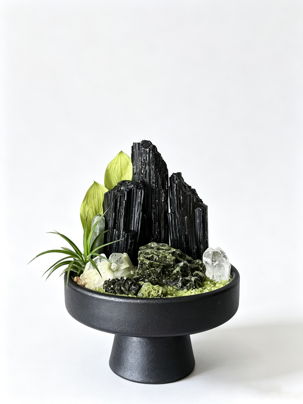 one-of-one crystal garden with black tourmaline, deep green epidote, clear quartz, air plant; front view on pure white background.

