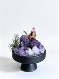one-of-one crystal garden with bud amethyst clusters, amethyst sphere, clear quartz, air plant; front view on pure white background.
