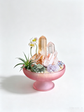 one-of-one crystal garden with golden healer point, clear quartz, rose quartz, amethyst, air plant; front view on pure white background.
