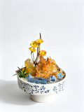 one-of-one crystal garden with golden citrine, blue kyanite, air plant; front view on pure white background.