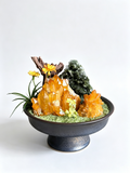 one-of-one crystal garden with golden citrine, green epidote, air plant; front view on pure white background.
