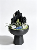 one-of-one crystal garden with black tourmaline, green phantom quartz, blue kyanite, silver air plant; front view on pure white background.
