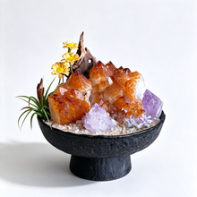 VIOLET FLAME CARAMEL CITRINE GARDEN