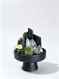 one-of-one crystal garden with black tourmaline, green phantom cluster, clear quartz point, air plant; front view on pure white background.
