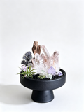  one-of-one crystal garden with smoky rose quartz, driftwood, amethyst, black tourmaline chips, air plant; front view on pure white background.
