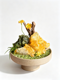 one-of-one crystal garden with golden citrine, green epidote, clear quartz, air plant; front view on pure white background.
