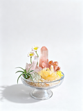 one-of-one crystal garden with white & rose quartz cluster, golden calcite, amethyst, air plant; front view on pure white background.