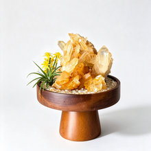ETERNAL FLAME GOLDEN CITRINE GARDEN