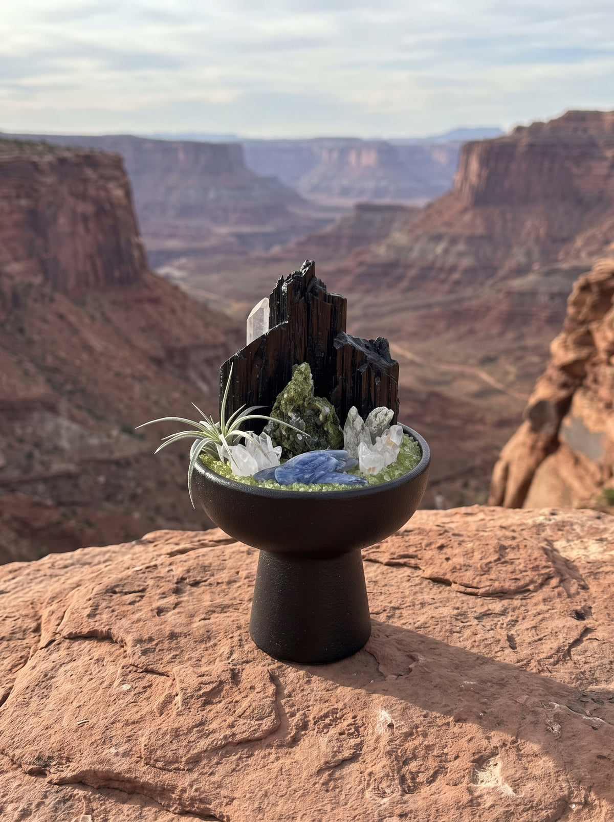 placed in a natural landscape, styled setting.

