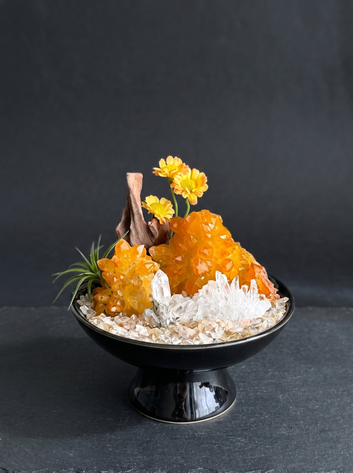 displayed on natural stone, styled setting.