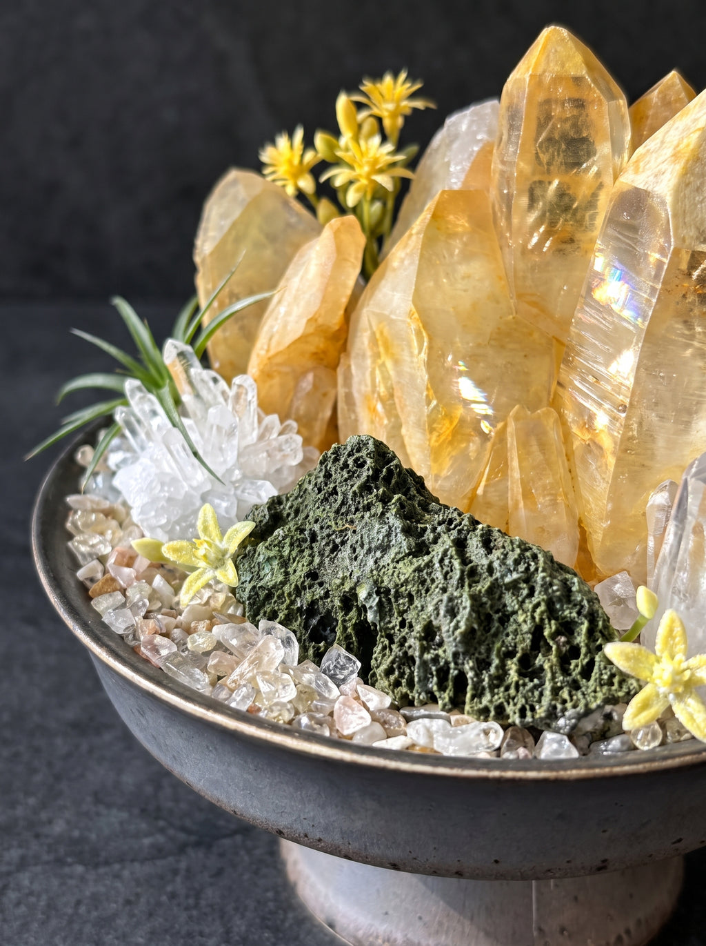placed in a natural landscape, styled setting.
